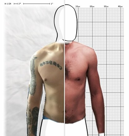 Torso Comparison