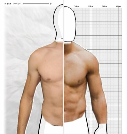 Torso Comparison