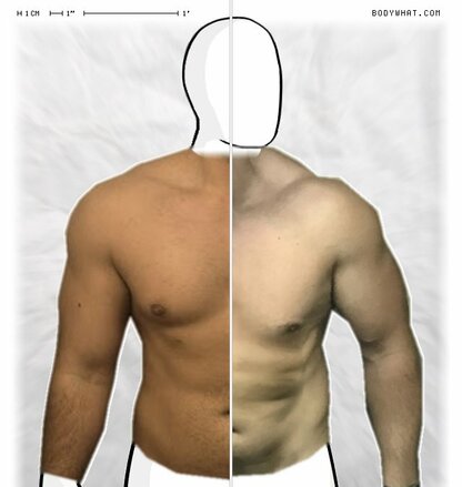 Torso Comparison