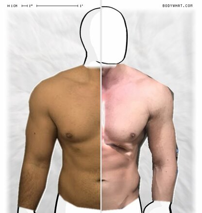 Torso Comparison