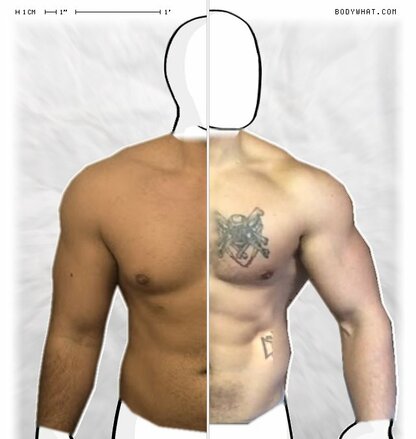 Torso Comparison