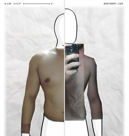 Torso Comparison