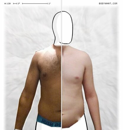 Torso Comparison