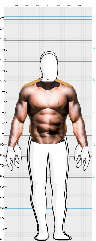 Full Size Comparison