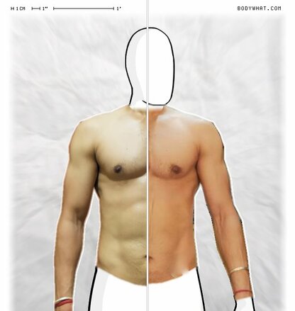 Torso Comparison