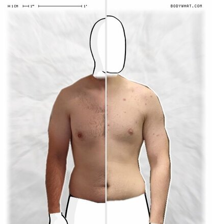 Torso Comparison