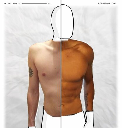 Torso Comparison