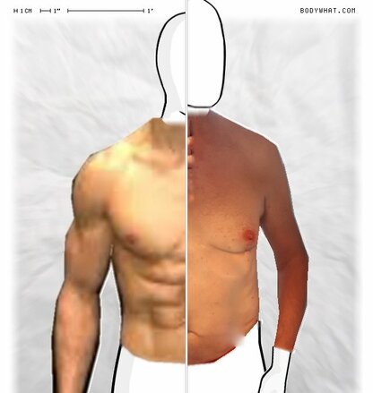 Torso Comparison