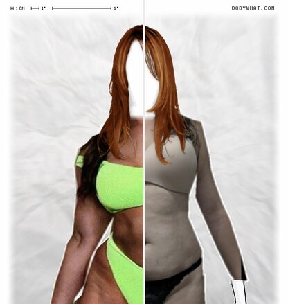 Torso Comparison