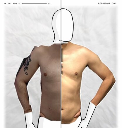 Torso Comparison