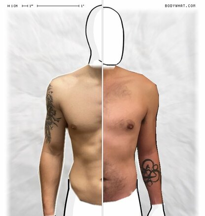 Torso Comparison