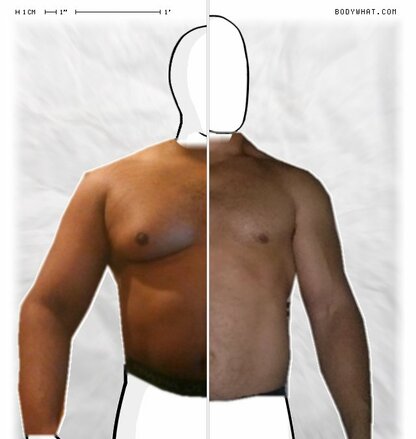 Torso Comparison