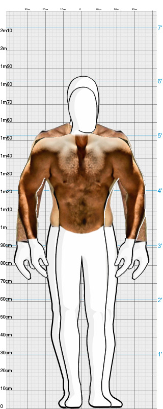 Full Size Comparison