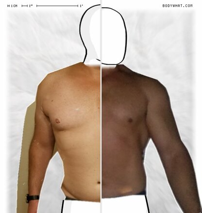 Torso Comparison