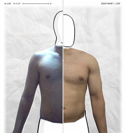 Torso Comparison