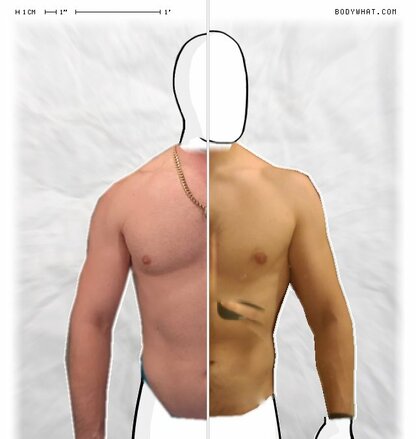 Torso Comparison