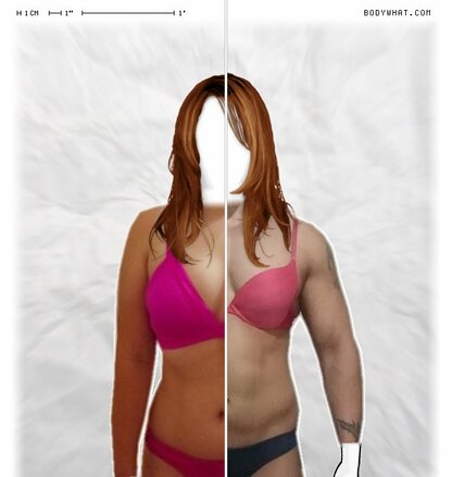 Torso Comparison