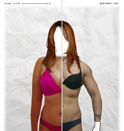 Torso Comparison