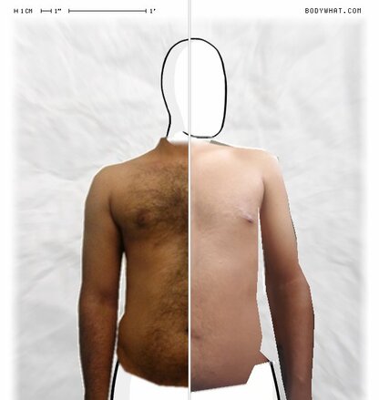 Torso Comparison