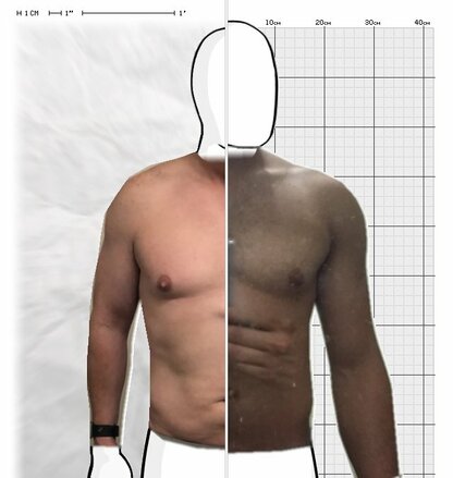 Torso Comparison