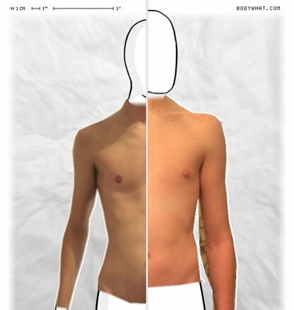 Torso Comparison