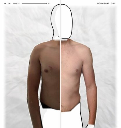 Torso Comparison