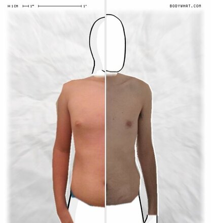 Torso Comparison