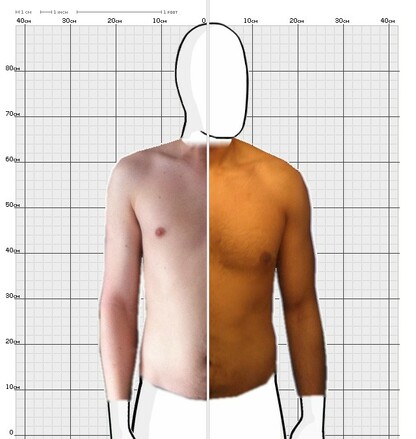 Torso Comparison