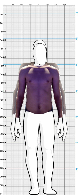 Full Size Comparison