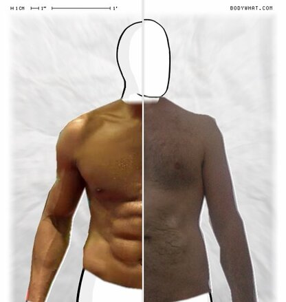 Torso Comparison