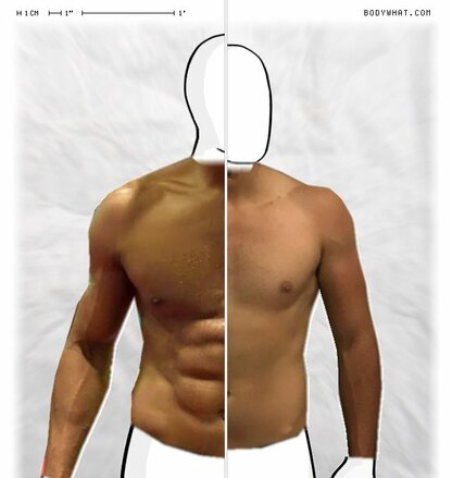 Torso Comparison