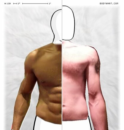 Torso Comparison