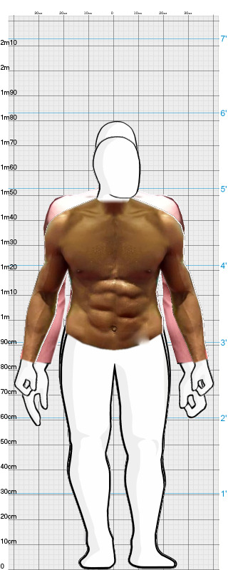 Full Size Comparison