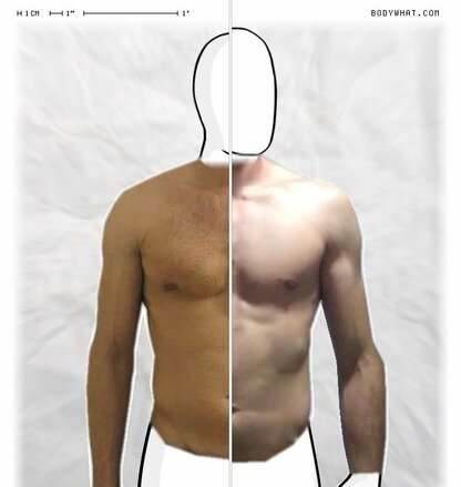 Torso Comparison