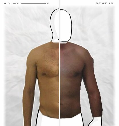 Torso Comparison