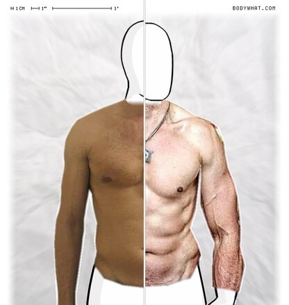 Torso Comparison