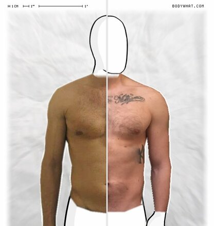 Torso Comparison