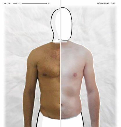 Torso Comparison