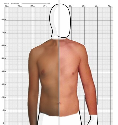 Torso Comparison