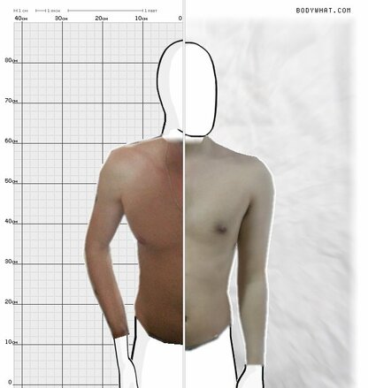 Torso Comparison