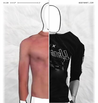 Torso Comparison