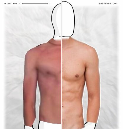 Torso Comparison