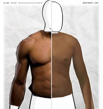 Torso Comparison