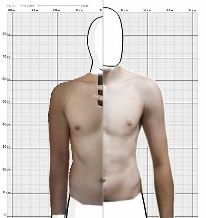 Torso Comparison