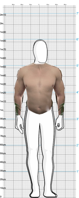 Full Size Comparison