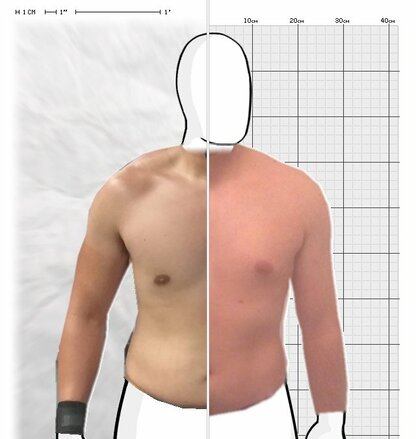 Torso Comparison