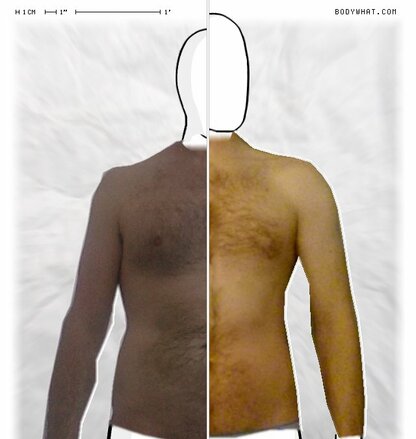 Torso Comparison