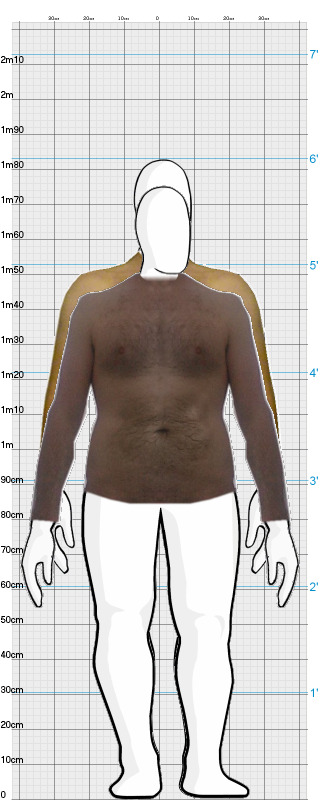 Full Size Comparison
