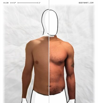 Torso Comparison