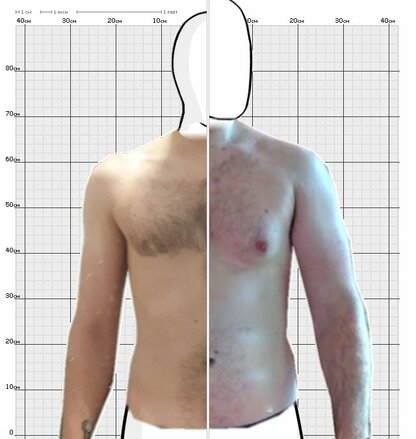 Torso Comparison